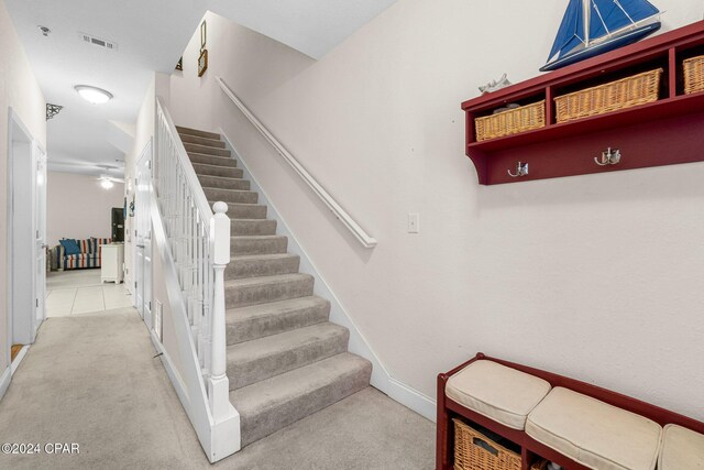 stairway featuring carpet flooring