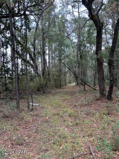 0000 Everest Dr, Chipley FL, 32428 land for sale