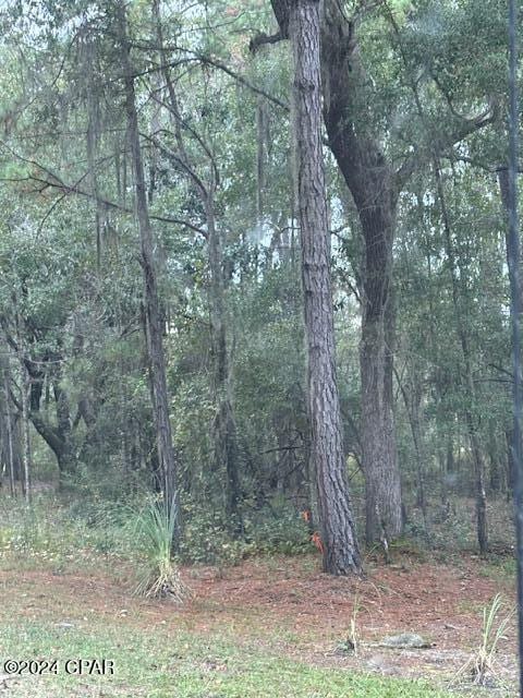 Listing photo 3 for 0000 Everest Dr, Chipley FL 32428