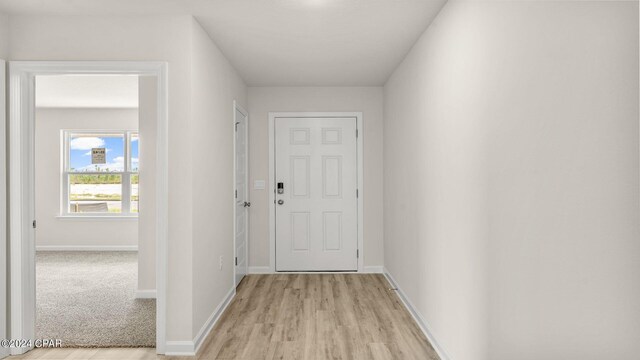 walk in closet with carpet floors