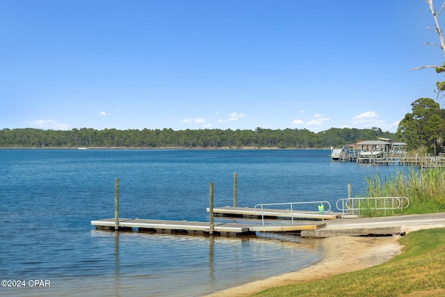 dock area with a water view