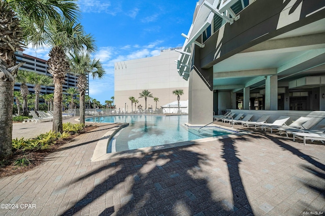 view of swimming pool with a patio area