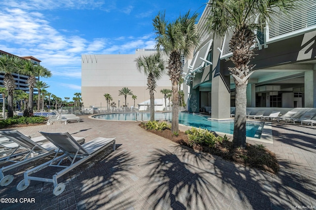 view of swimming pool featuring a patio area