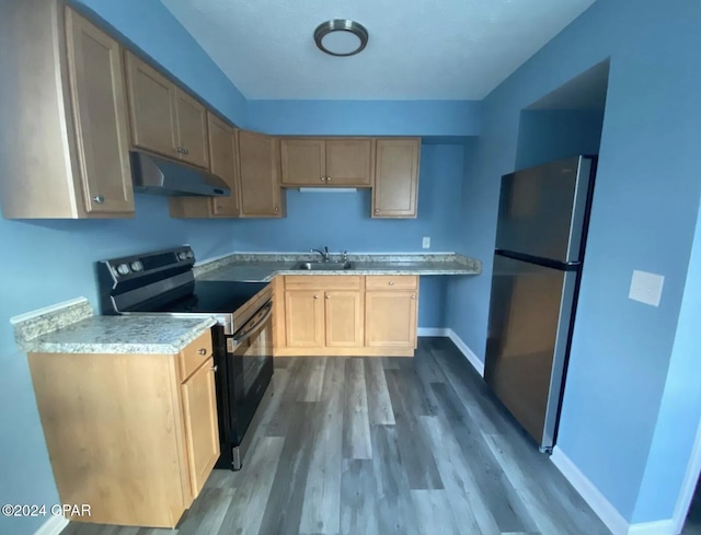 kitchen with hardwood / wood-style floors, sink, stainless steel appliances, and light brown cabinetry