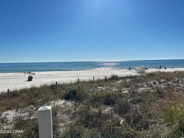 water view with a view of the beach