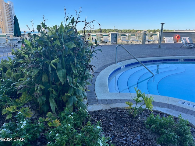 view of swimming pool