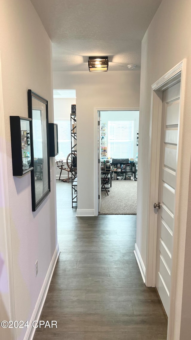 hall featuring dark hardwood / wood-style flooring