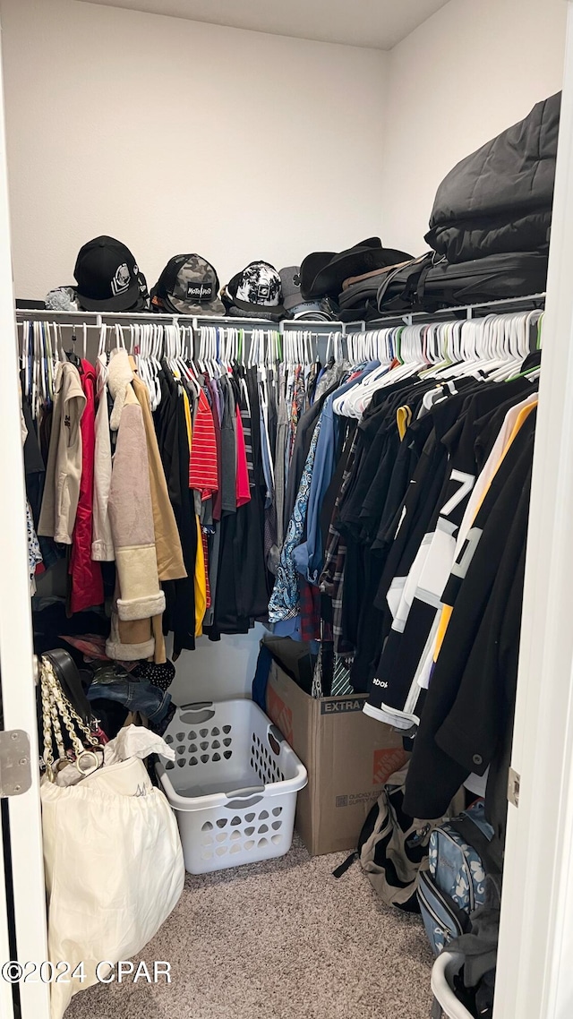 spacious closet featuring carpet floors