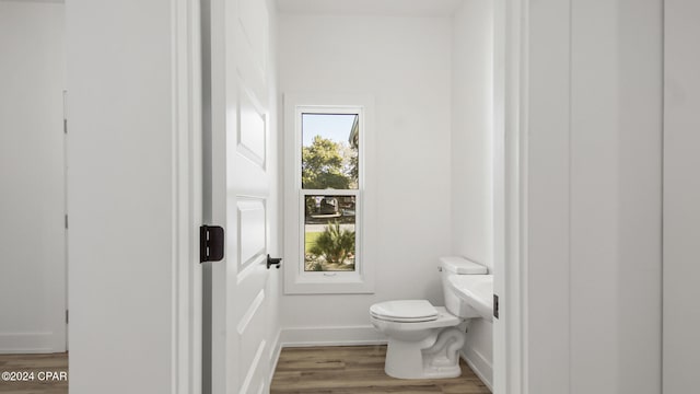 bathroom with hardwood / wood-style flooring and toilet