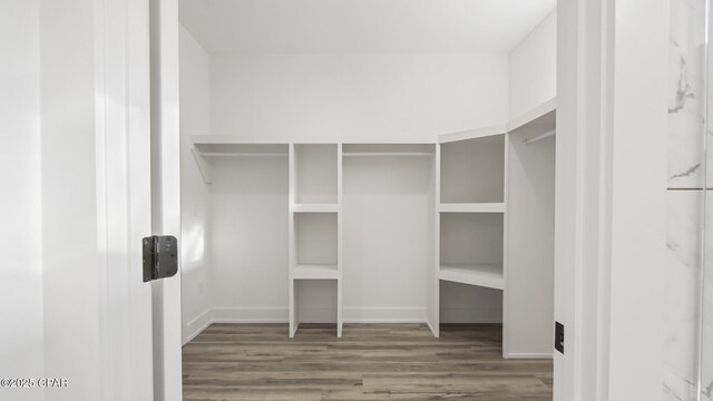 spacious closet with dark hardwood / wood-style flooring