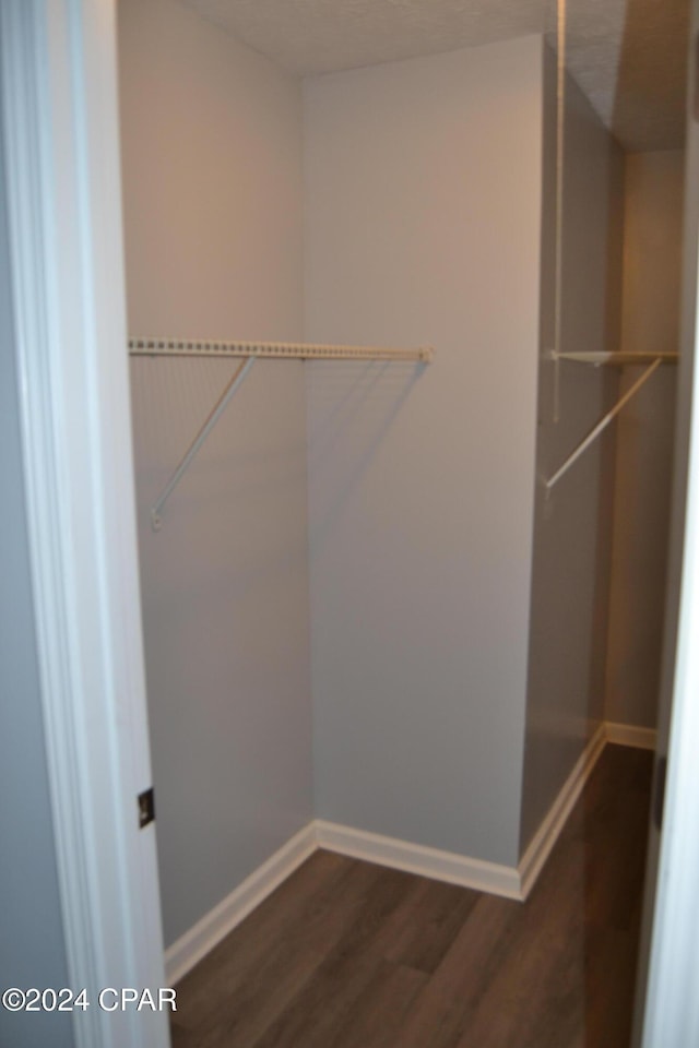 walk in closet with dark hardwood / wood-style flooring