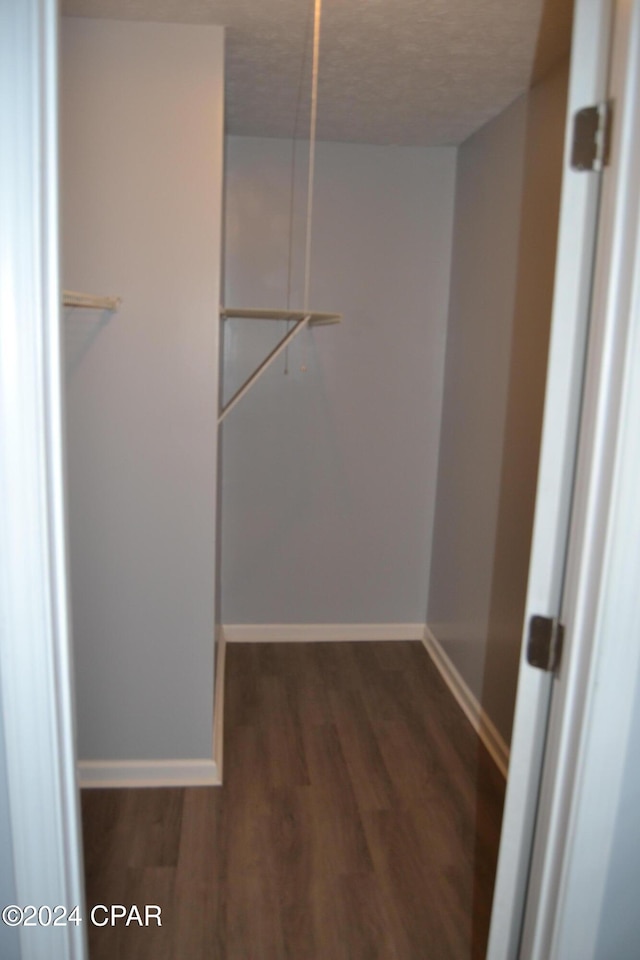 walk in closet featuring dark hardwood / wood-style flooring