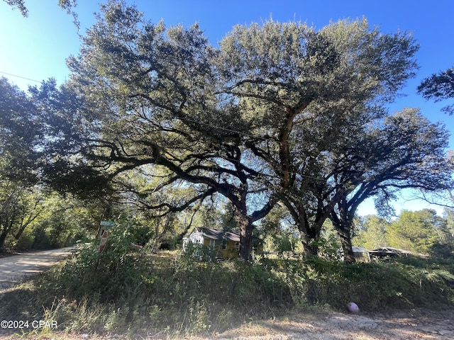 view of nature