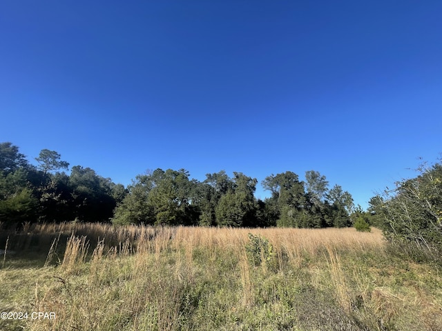 view of landscape