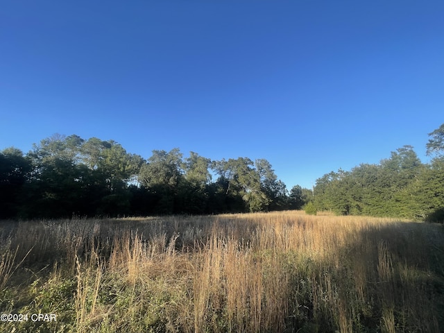 view of local wilderness