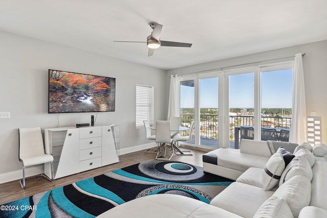 living room with a wealth of natural light, ceiling fan, and dark hardwood / wood-style floors