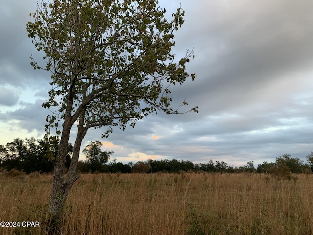 view of landscape