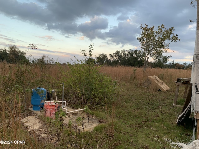 view of yard at dusk