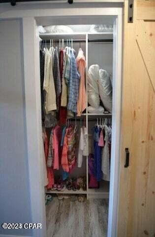 view of closet