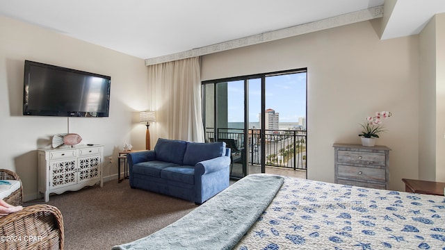 carpeted bedroom featuring access to exterior