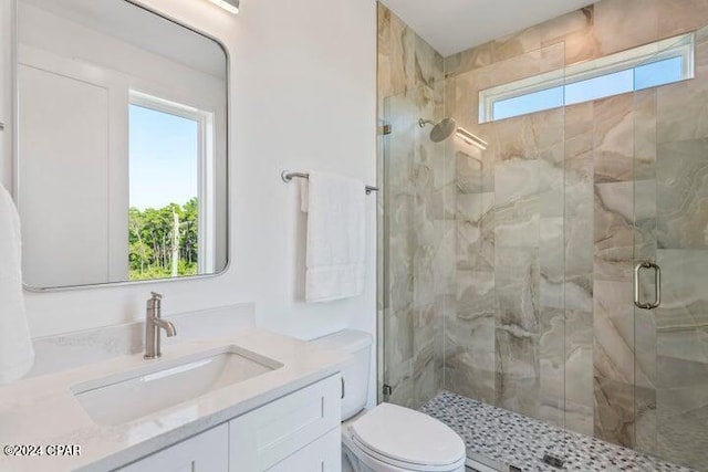 bathroom with vanity, a healthy amount of sunlight, toilet, and a shower with door