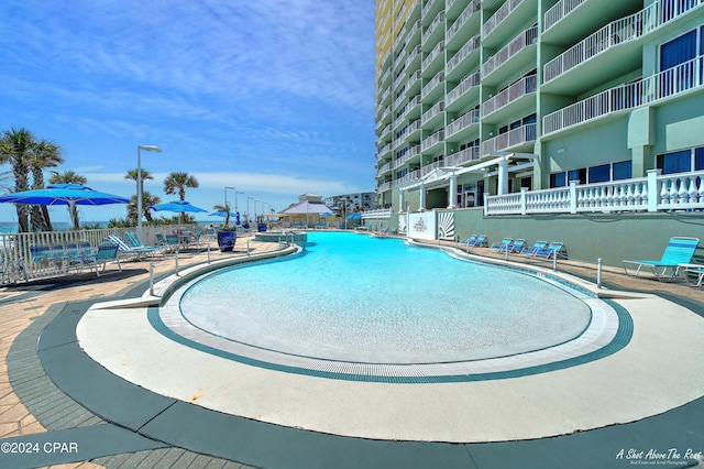 view of pool featuring a patio area