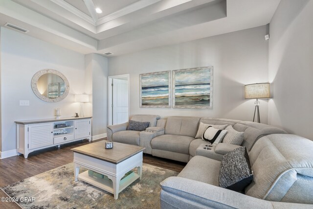 living room with dark hardwood / wood-style floors, a raised ceiling, and ornamental molding