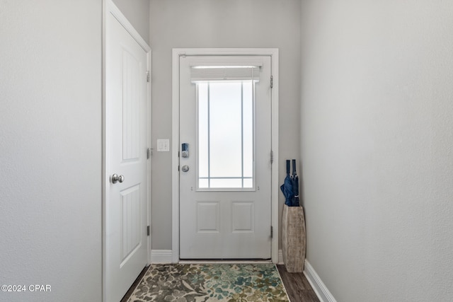 doorway to outside featuring dark wood-type flooring