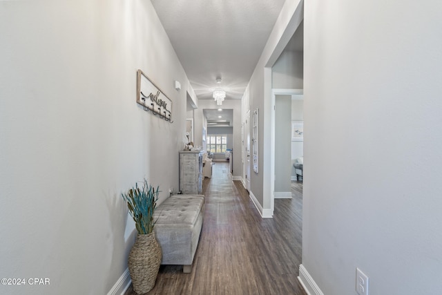 hallway featuring wood-type flooring