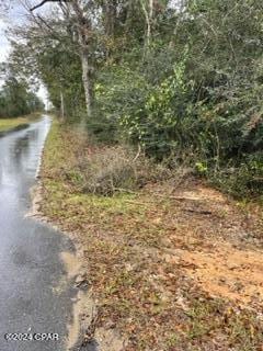 Listing photo 3 for 000 Roland Rd, Chipley FL 32428