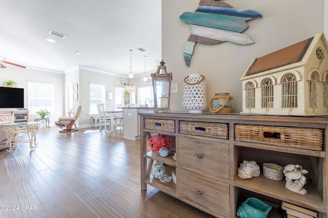 kitchen featuring visible vents, dark wood-type flooring, and ornamental molding