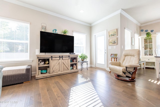 living room with wood finished floors, a wealth of natural light, and crown molding