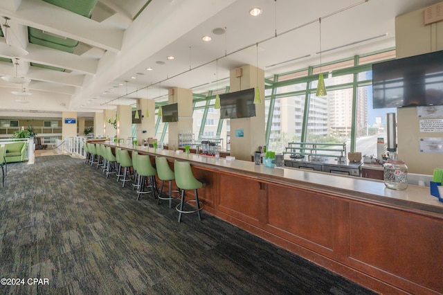 bar with plenty of natural light and dark carpet