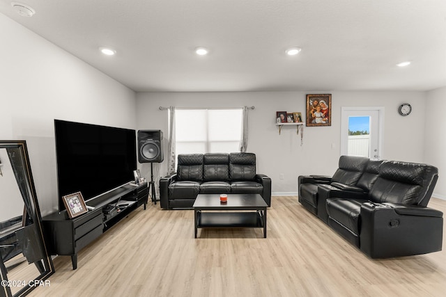 living room featuring light hardwood / wood-style floors