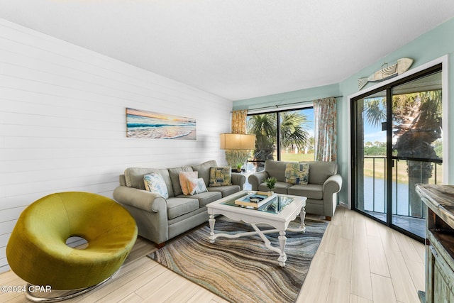 living room with light hardwood / wood-style flooring