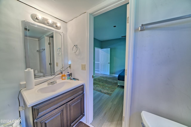 bathroom with vanity, wood-type flooring, and toilet