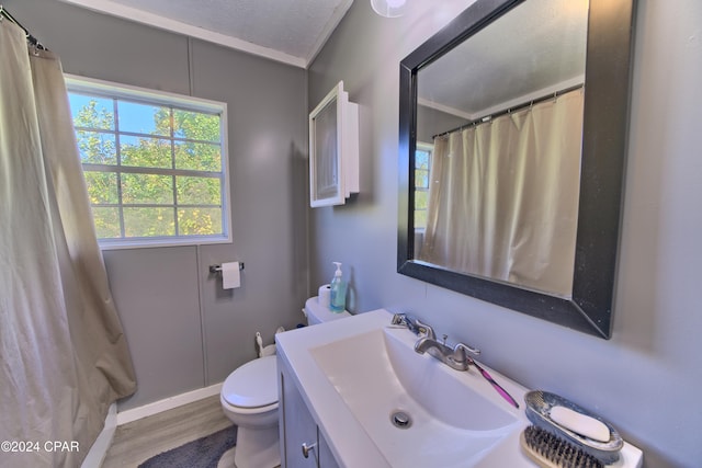 bathroom featuring crown molding, wood-type flooring, a textured ceiling, toilet, and vanity