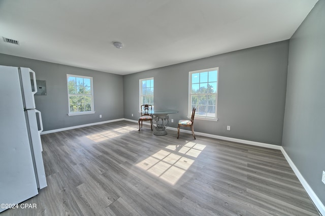 unfurnished room with plenty of natural light and wood-type flooring