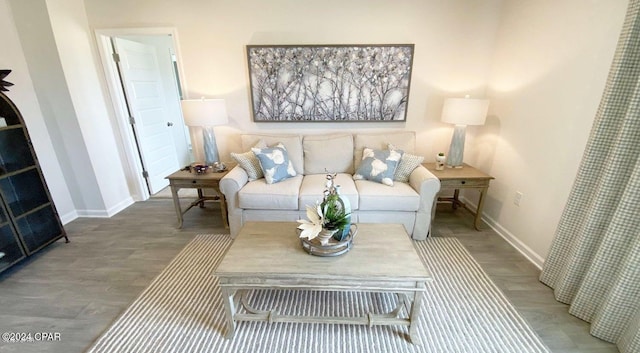 living room with wood-type flooring