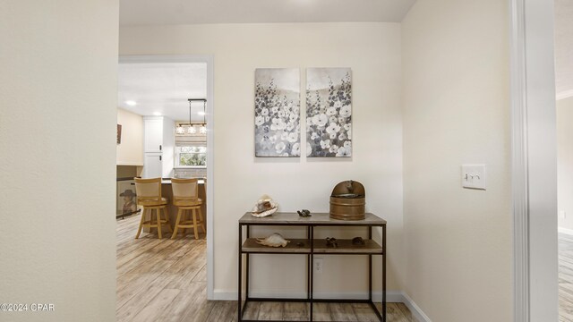 foyer entrance featuring crown molding and hardwood / wood-style floors