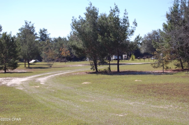 5377 NW County Road 274, Altha FL, 32421 land for sale