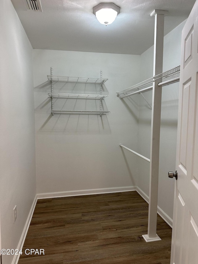 walk in closet featuring dark wood-type flooring