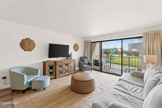 living room featuring hardwood / wood-style floors