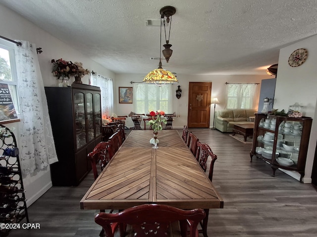 dining room featuring dark hardwood / wood-style flooring and a wealth of natural light