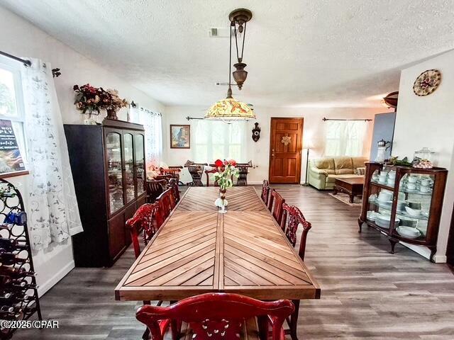 dining room with a textured ceiling, dark wood finished floors, and a wealth of natural light