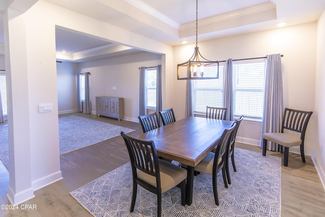 dining room with hardwood / wood-style floors, a raised ceiling, and plenty of natural light