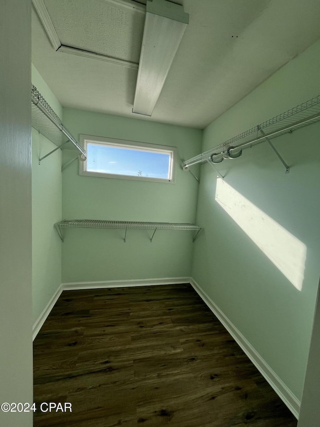 walk in closet featuring dark wood-type flooring