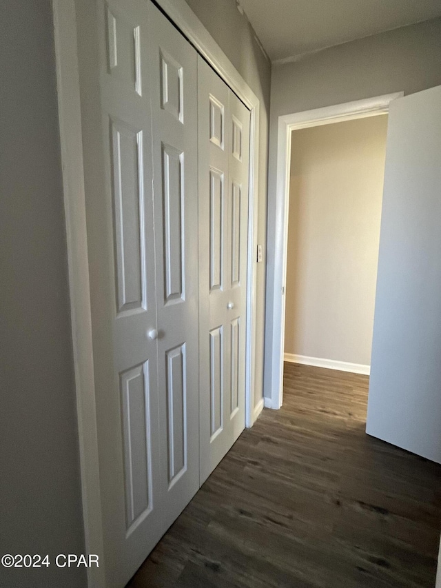 hallway with dark wood-type flooring