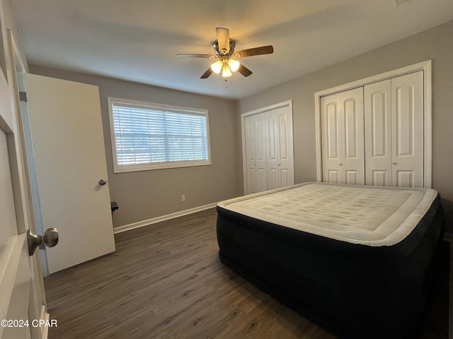 bedroom featuring ceiling fan, dark wood-type flooring, and two closets