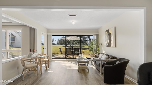 living room featuring hardwood / wood-style flooring